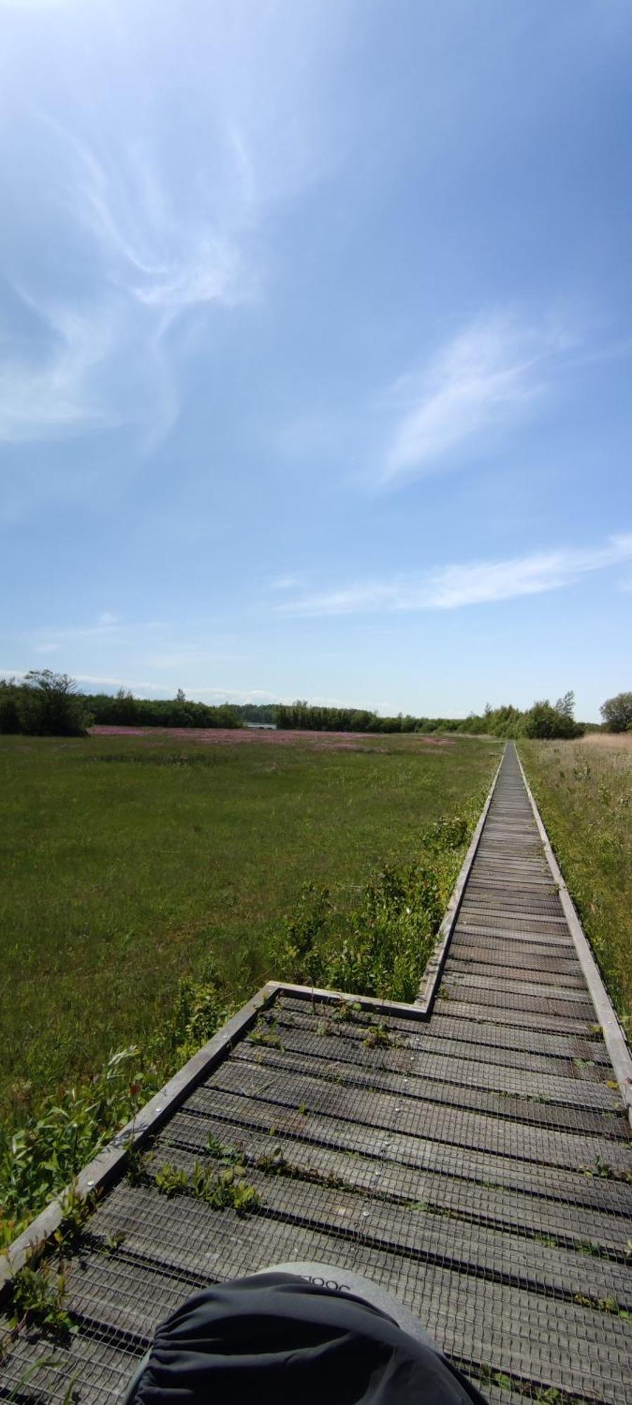 Mobilheim Herz Lauwersoog - Chalet Robbengat Zewnętrze zdjęcie