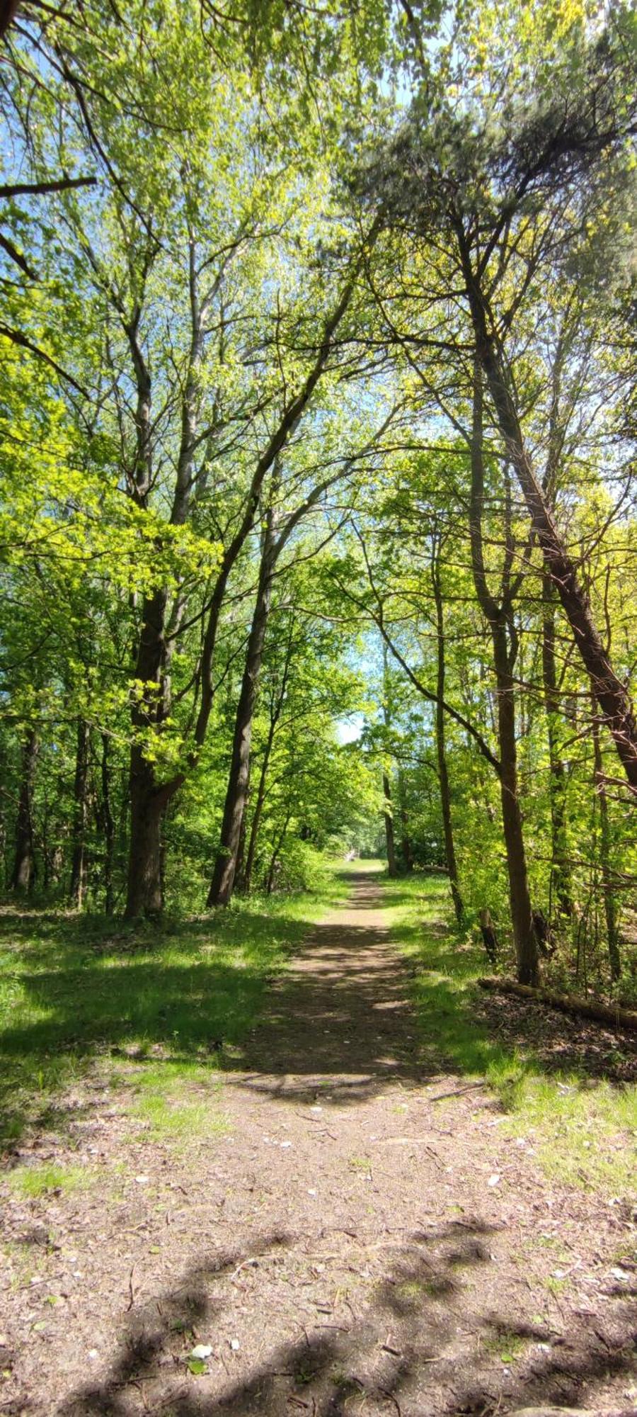 Mobilheim Herz Lauwersoog - Chalet Robbengat Zewnętrze zdjęcie